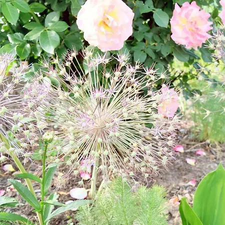 Hébergement de vacances Heimathafen