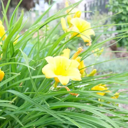 Hébergement de vacances Heimathafen