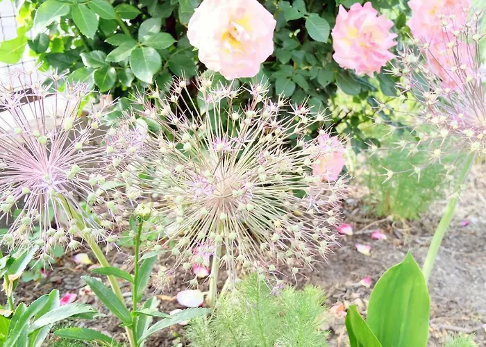 Semesterbostad Heimathafen