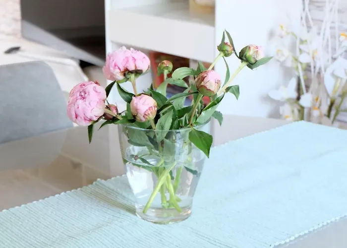 Heimathafen Semesterbostad *