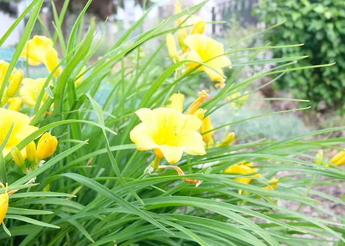 Casa de Férias Heimathafen